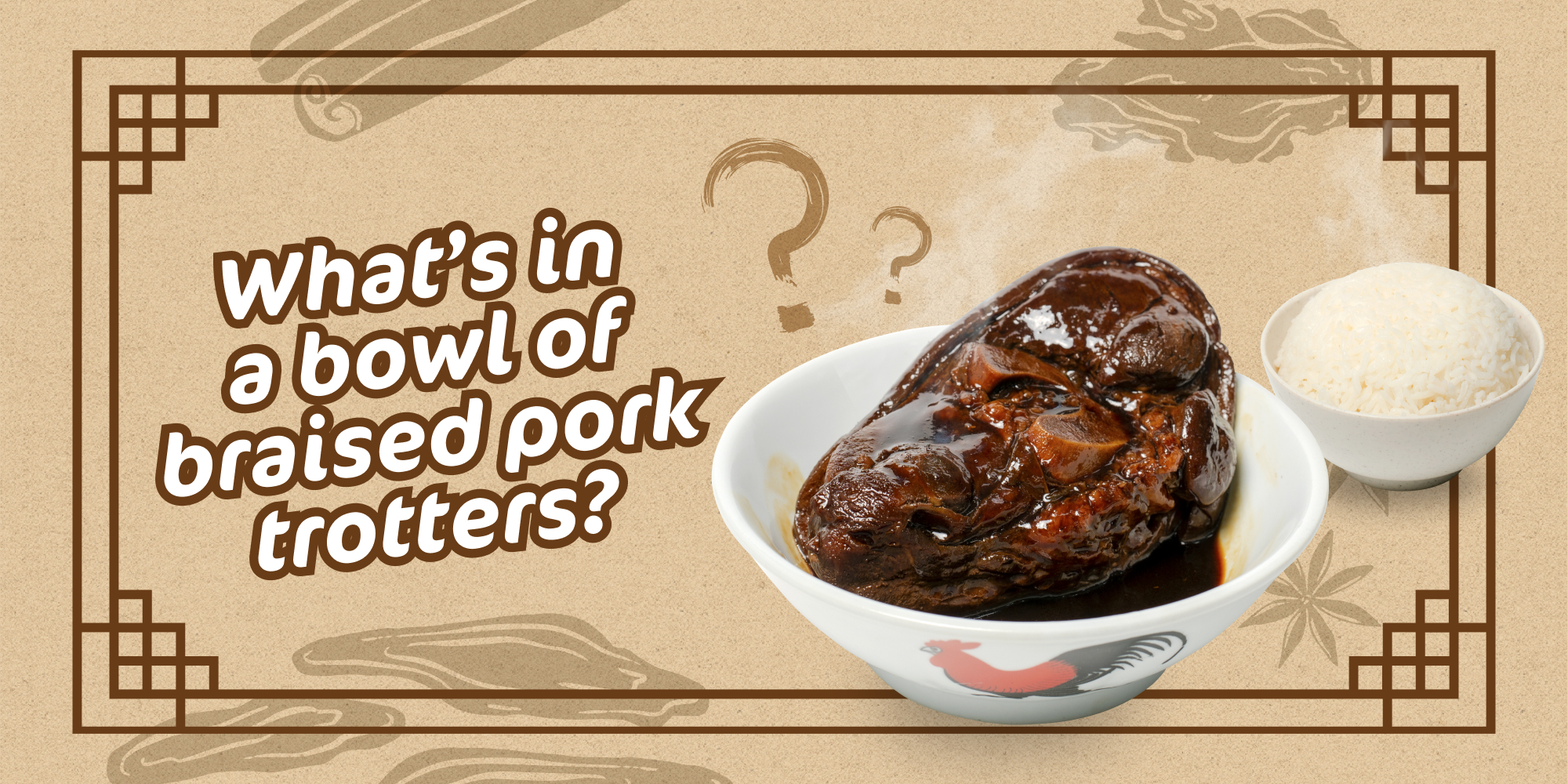 A look at the goodness of braised pork trotters